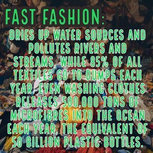 Fast Fashion Facts
